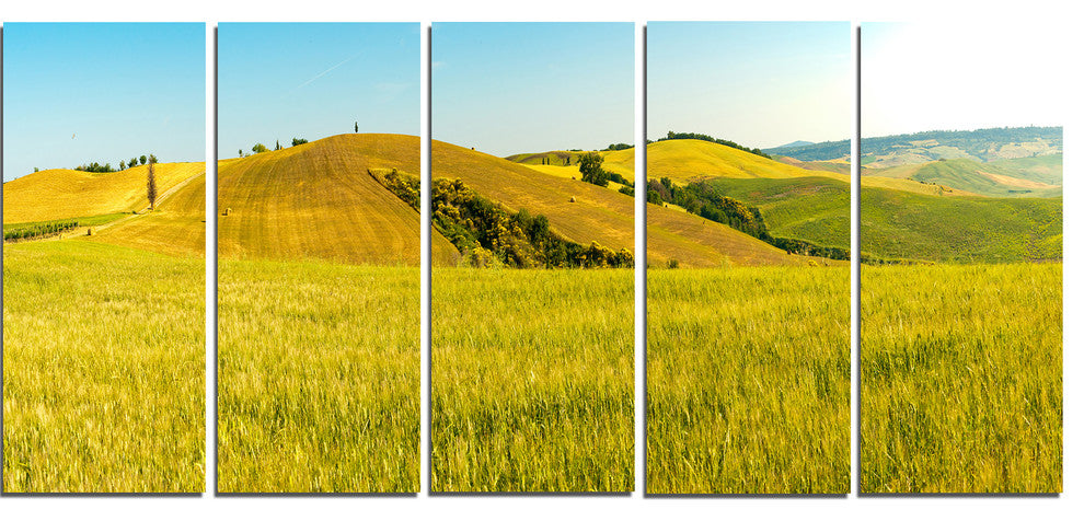 "Tuscany Wheat Field on Sunny Day" Landscape Print Wall Art, 5 Panels, 60"x28"