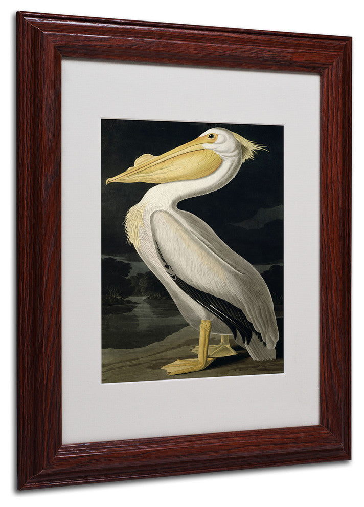 'American White Pelican' Matted Framed Canvas Art by John James Audubon