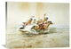 "Indian Horse Race No" Artwork, 36" x 26"
