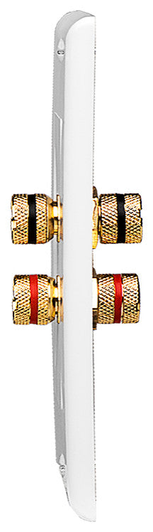 Single Speaker Terminal Decora Binding Post Wall Plate