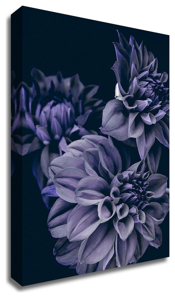 Secret 15 by Design Fabrikken, Print on Canvas, 25"x35"