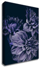 Secret 15 by Design Fabrikken, Print on Canvas, 25"x35"