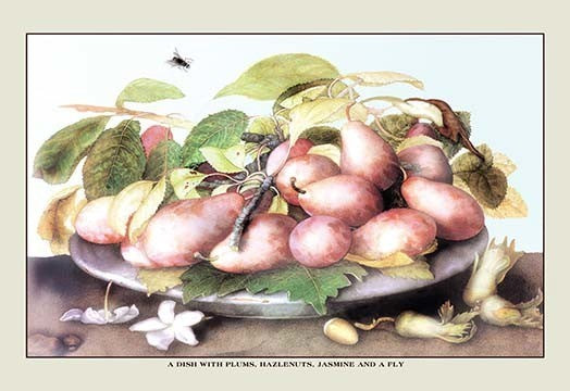 A Dish of Plums, Nuts, Jasmine and a Fly- Gallery Wrapped Canvas Art 28" x 42"