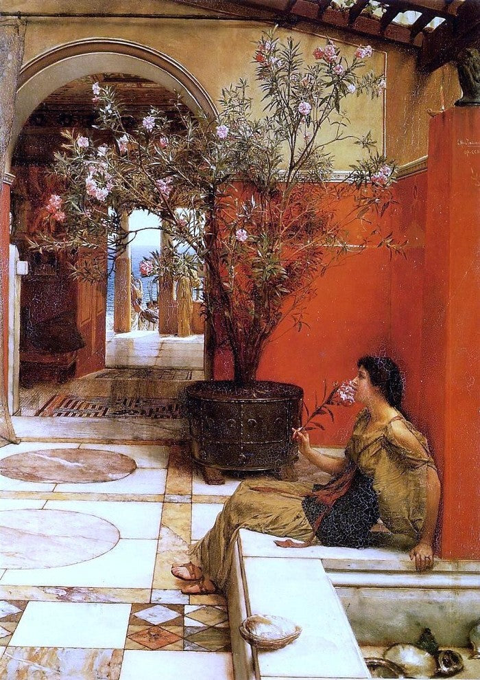 Sir Lawrence Alma-Tadema An Oleander, Gallery Wrapped Canvas Print, 18"x27"
