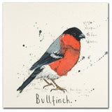 Michelle Campbell 'Bull Finch' Canvas Art, 14" x 14"