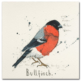 Michelle Campbell 'Bull Finch' Canvas Art, 14" x 14"