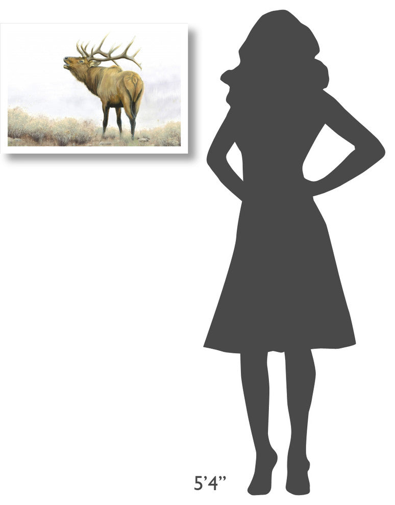 "Majestic Elk Brown" Digital Paper Print by James Wiens, 26"x18"