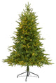 5ï¿½ Colorado Mountain Fir ï¿½Natural Lookï¿½ Christmas Tree / 250 Clear LED Lights