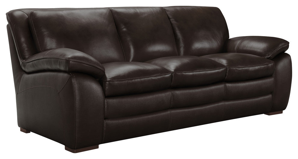 Zanna Modern Hardwood and Dark Brown Leather Sofa