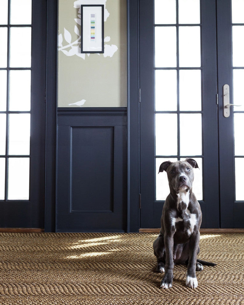 Dash & Albert Wave Natural Woven Sisal Rug, Natural, 5' x 8'