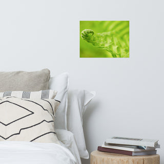Fern Curl Nature Photography, Botanical Unframed Wall Art Print, 12" X 16"