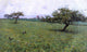 Arthur Wesley Dow Field Kerlaouen, Gallery Wrapped Canvas Print, 18"x27"