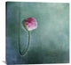 "Trust" Stretched Canvas Giclee by Priska Wettstein, 36x36"