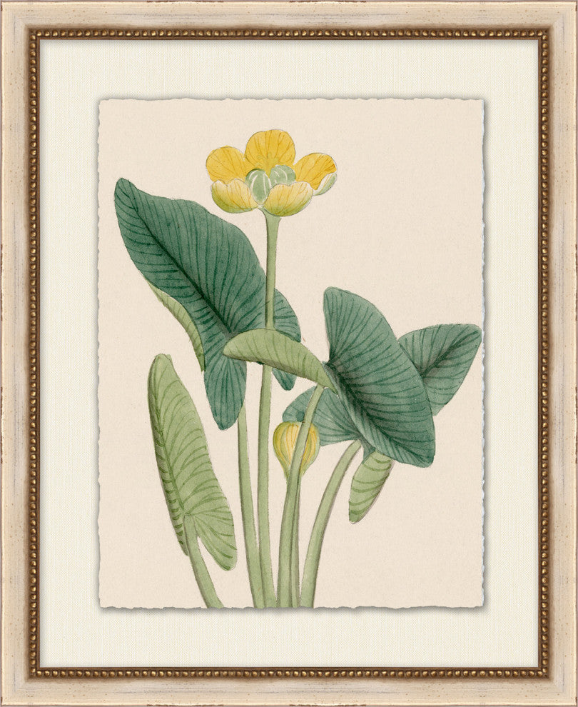 Prisma Floral 7, Giclee Reproduction Artwork