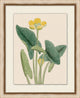 Prisma Floral 7, Giclee Reproduction Artwork
