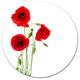 Isolated Red Poppy Flowers, Modern Floral Round Metal Wall Art, 23"