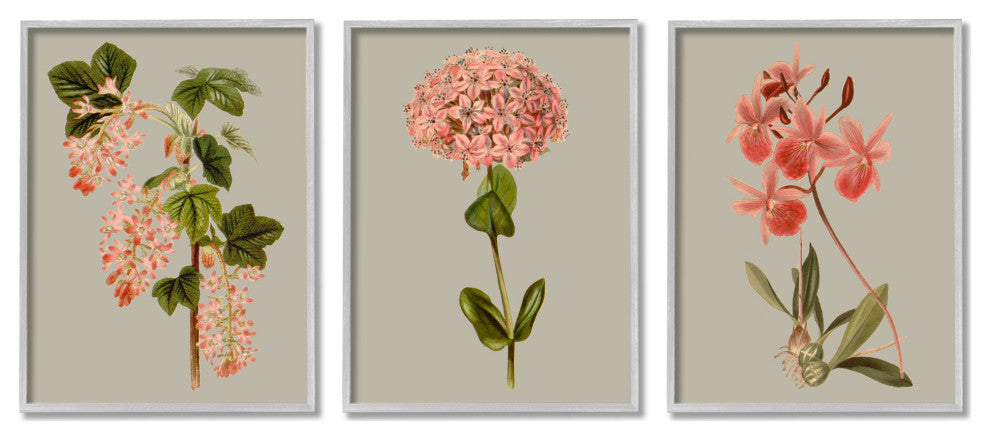 Vintage Pink Floral Clusters Spring Lilac Illustrations,3pc, each 11 x 14