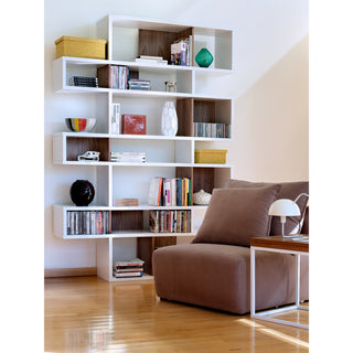 Modern Large Modular Display 2 Tone Shelves, White Frame/Oak Backs