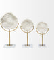 Sandy II, Medium 6"x3" White Coastal Sand Dollar Object, Small