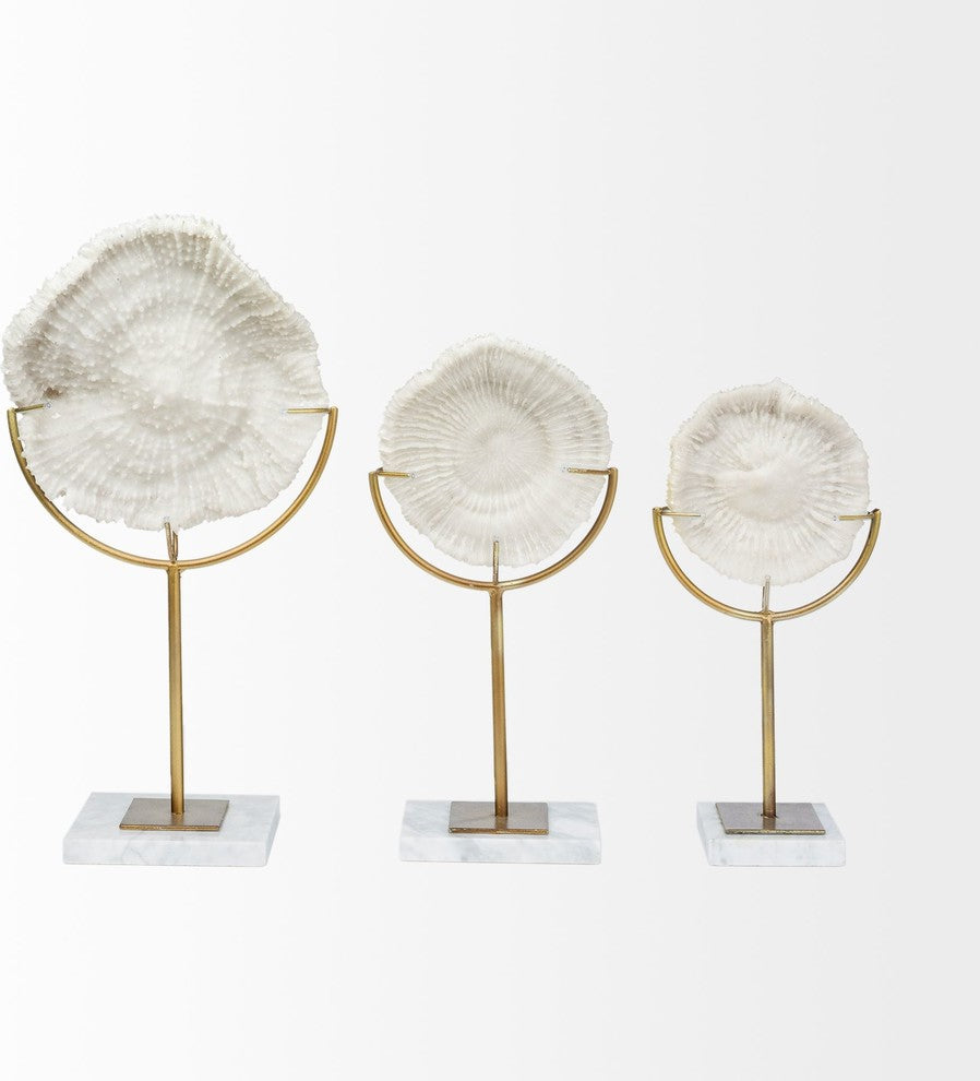 Sandy II, Medium 6"x3" White Coastal Sand Dollar Object, Small