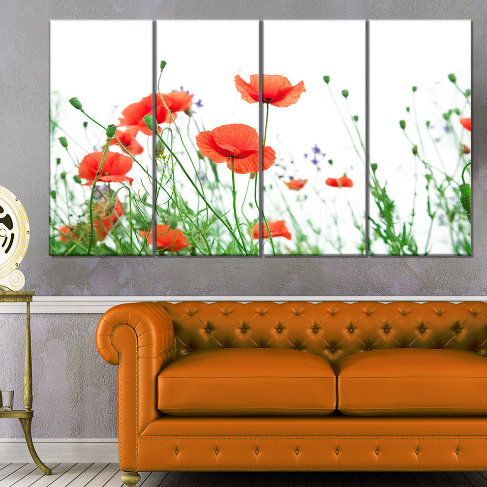 Poppy Flowers on White Background, Floral Canvas Art Print, 48"x28", 4 Panels