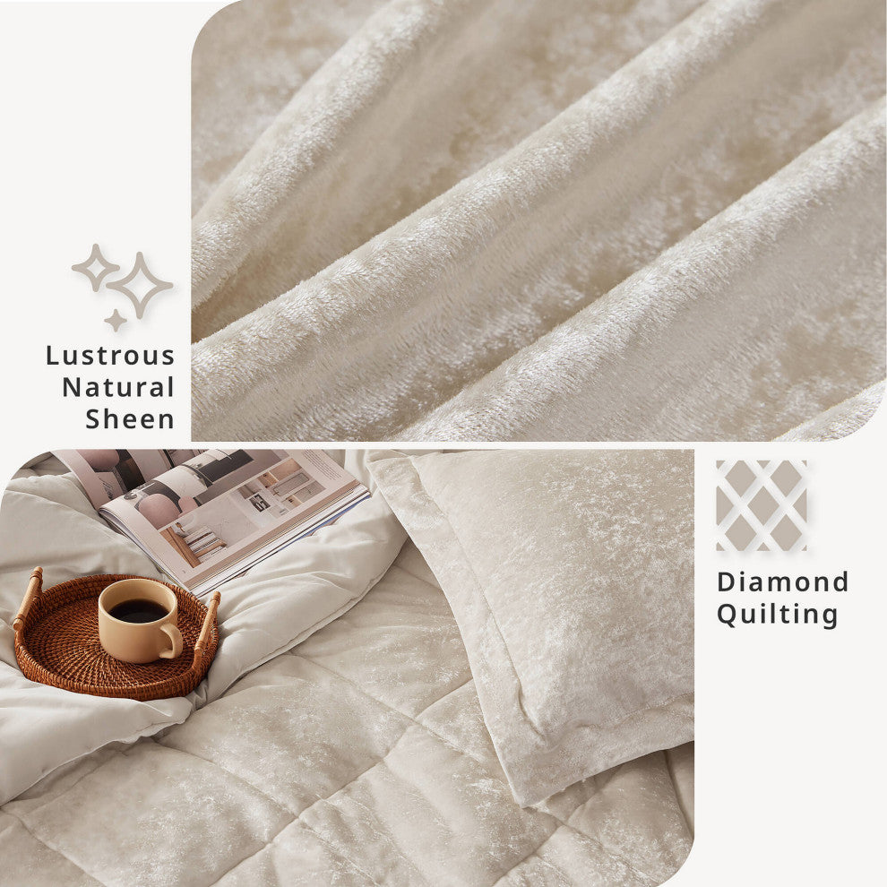 Intelligent Design Velvet Duvet Cover Set With Throw Pillow, Champagne