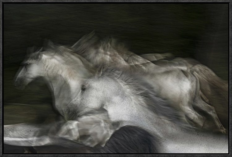 "Into The Dark" Framed Canvas Giclee by Milan Malovrh, 25x17"