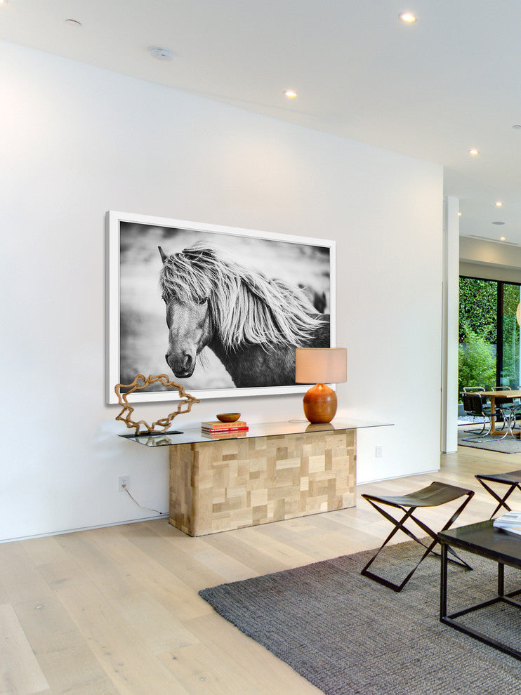 Marmont Hill, "Beautiful Mane" Framed Painting Print, 18x12