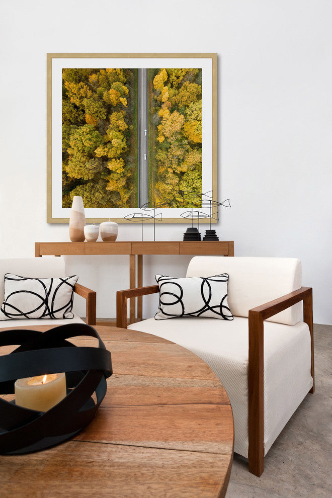 "Nature Road" Framed Print by Karolis Janulis