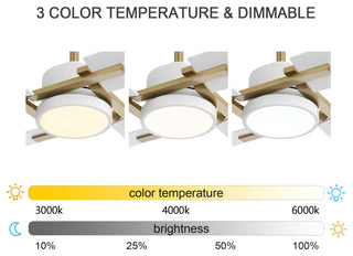 72" 4-Blade DC Motor Ceiling Fan with Dimmable LED and Remote Control, Gold/White