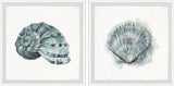 Classy Shell II Diptych, 64"x32"
