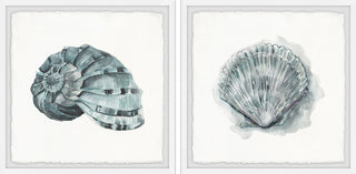 Classy Shell II Diptych, 64"x32"