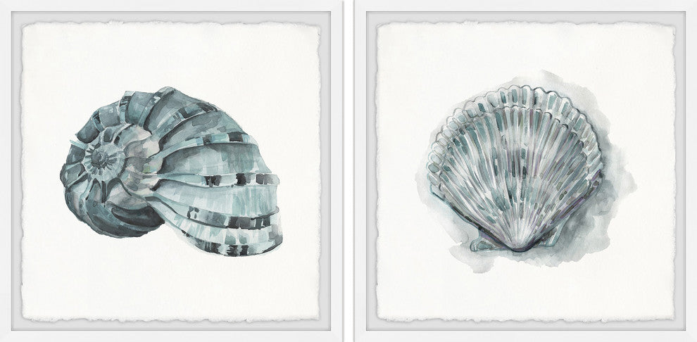 Classy Shell II Diptych, 64"x32"