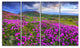 "Rhododendron Flowers in Mountains" Landscape Photo Wall Art, 4 Panels, 48"x28"