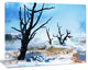 Beautiful Land with Large Dry Trees, Extra Large Landscape Canvas Art, 20"x12"