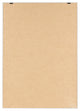 Sylvie Postiano 7 Framed Canvas by Rachel Bolgov, White 23x33