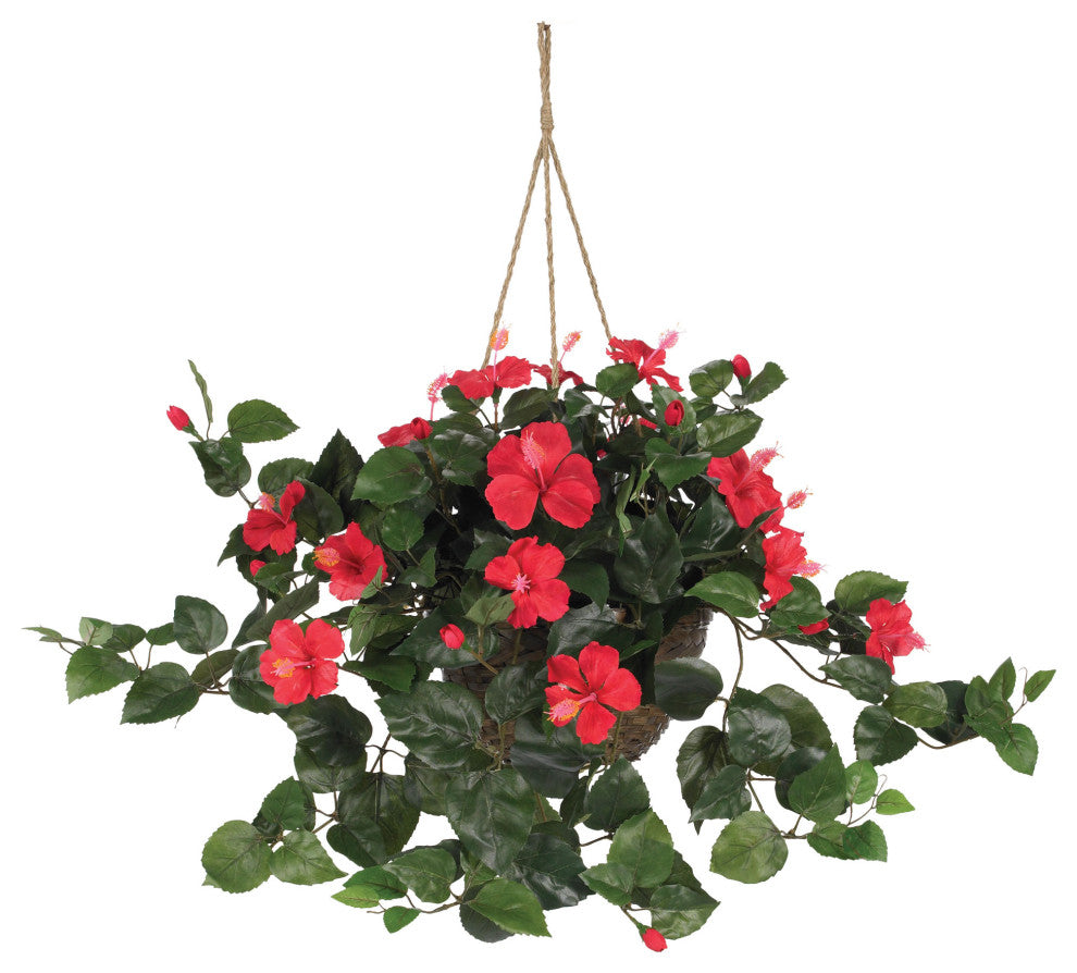 Product-shot on white background with full view of the hibiscus hanging basket; clear, front-facing presentation without text or diagrams.