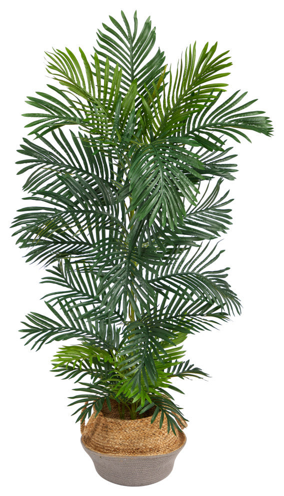 T2929 5 Areca Palm Tree in Boho Chic Handmade Gray Woven Planter UV Resistant