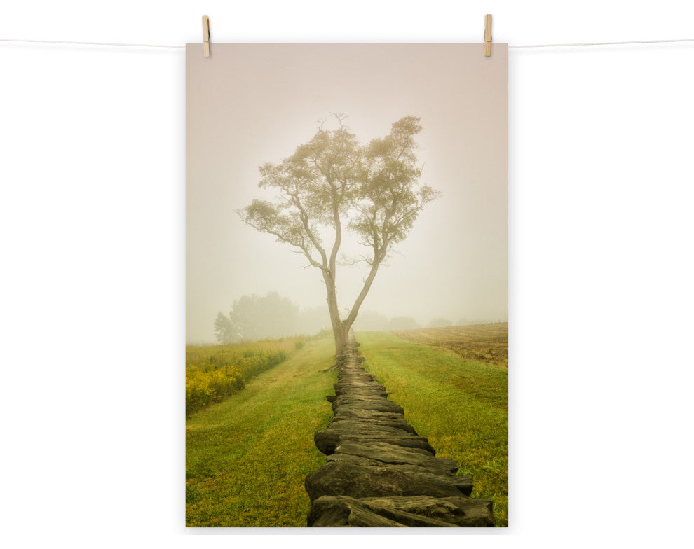 Wall Art Print Landscape Photograph Calming Morning Rural Unframed, 11" X 14"