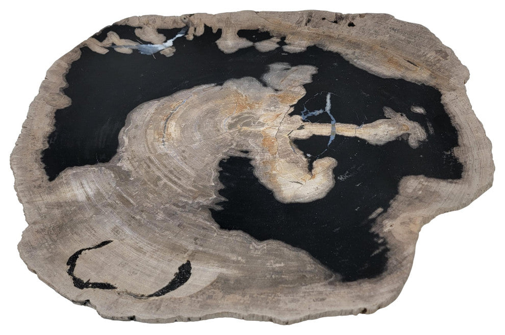 Large 17 in Petrified Wood Stone Tray Centerpiece Plate Fossil Live Edge Natural