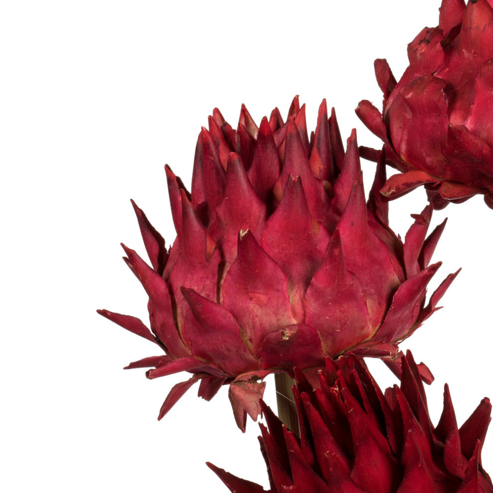Vickerman 15" Artichoke Head With Reed Stem, Dried