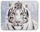 White Tiger High-Pile Oversized Throw