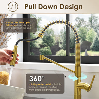 Nette Single-Handle Kitchen Faucet With Pull Down Sprayer, Brushed Gold