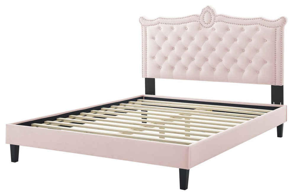 Platform Bed Frame, Nailhead, Queen Size, Pink, Velvet, Modern, Guest Suite