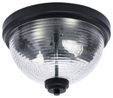 12" 2-Light Flush Mount Light, Matte Black, Clear Bubble Glass