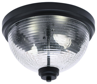 12" 2-Light Flush Mount Light, Matte Black, Clear Bubble Glass