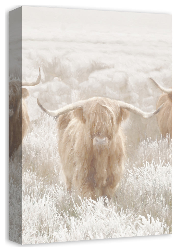 Light and Creamy Highland 12x18 Canvas Wall Art