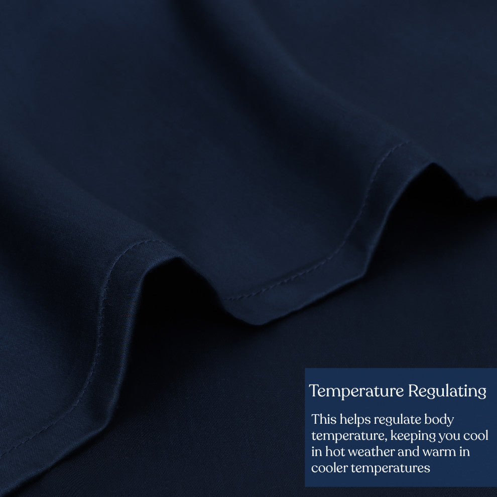 Delara 100% Eucalyptus Lyocell Tencel Sheet, 1 Flat Sheet Only, Carbon, Twin, 74"x105"