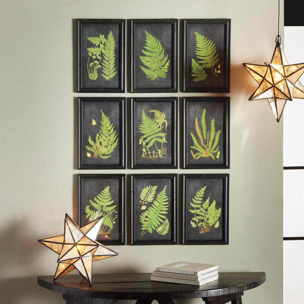 Framed Fern Botanical Prints, Set of 9