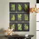 Framed Fern Botanical Prints, Set of 9